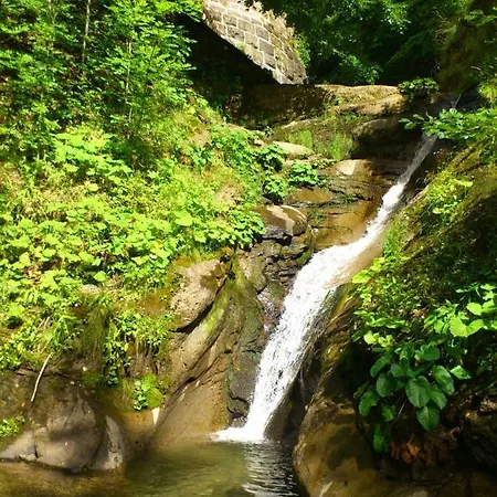 Les Eglantines Saint-Jacques-des-Blats
